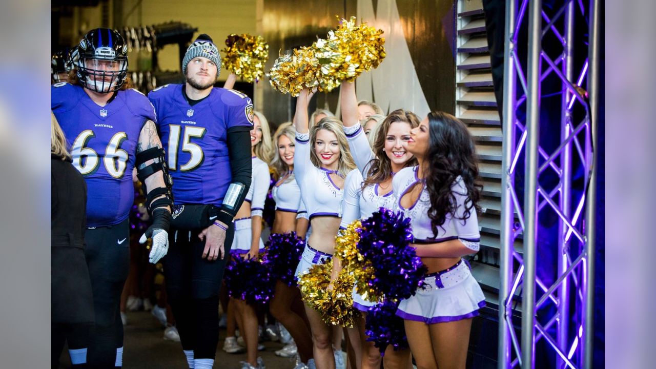 Ravens Cheerleaders: Ravens vs. Lions