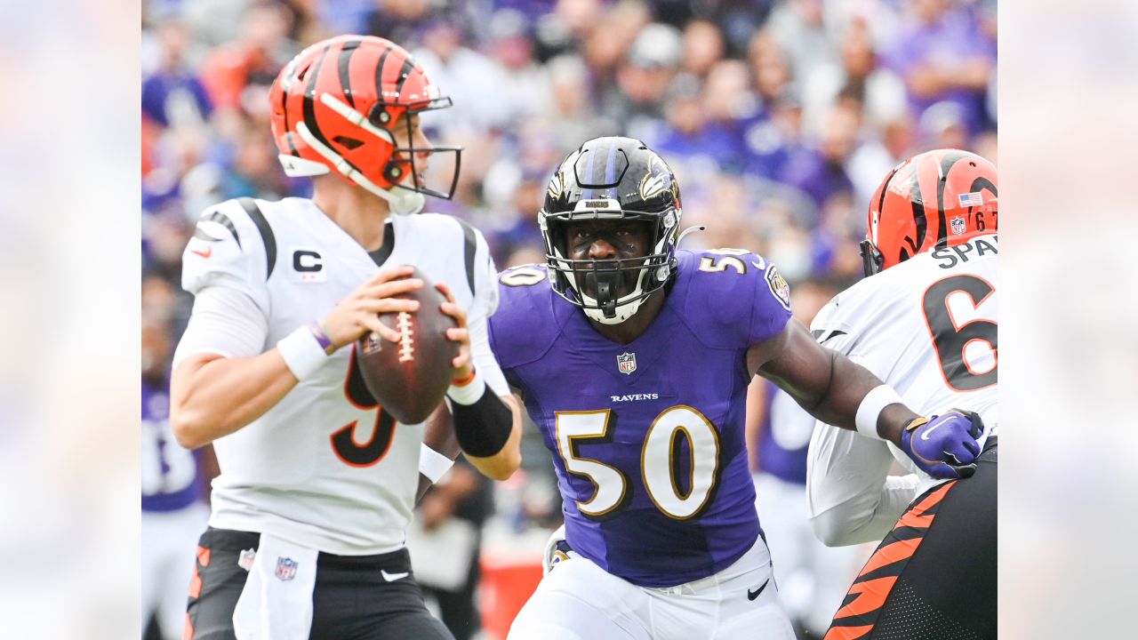 Gameday Gallery: Ravens vs. Bengals, Week 16