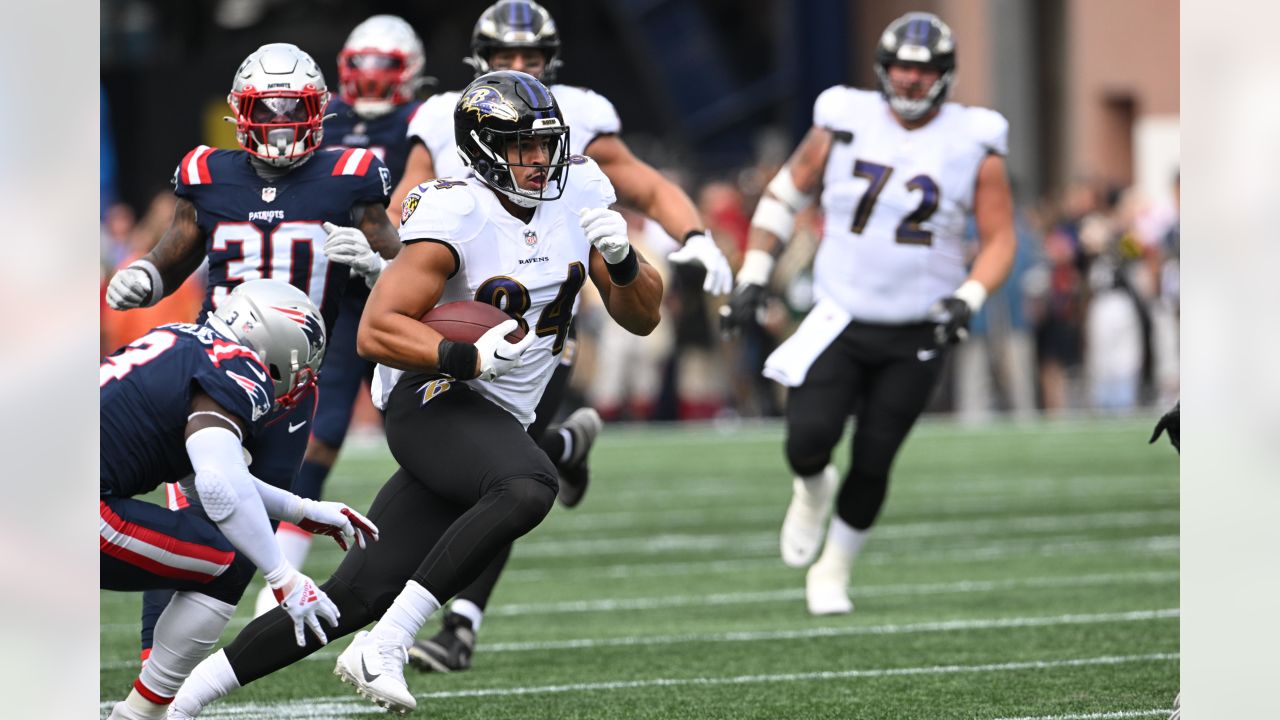 Photo: Baltimore Ravens vs New England Patriots - BOS2015011023 