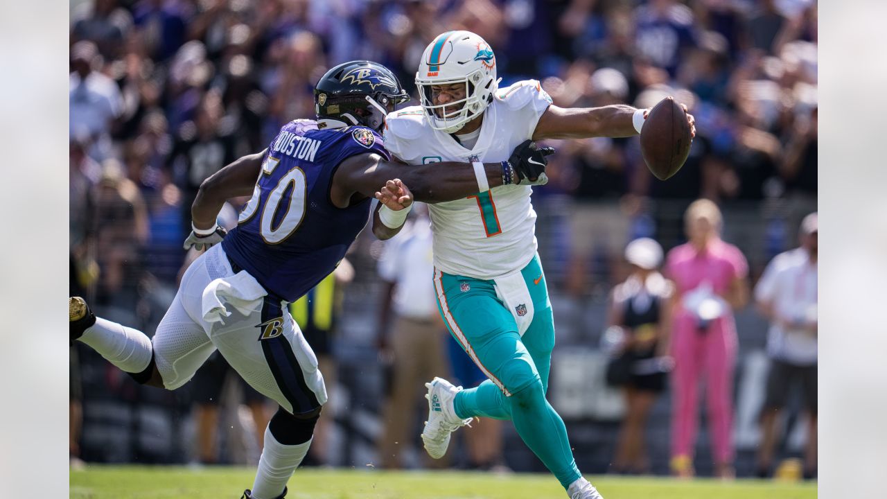 Gameday Gallery: Ravens vs. Dolphins