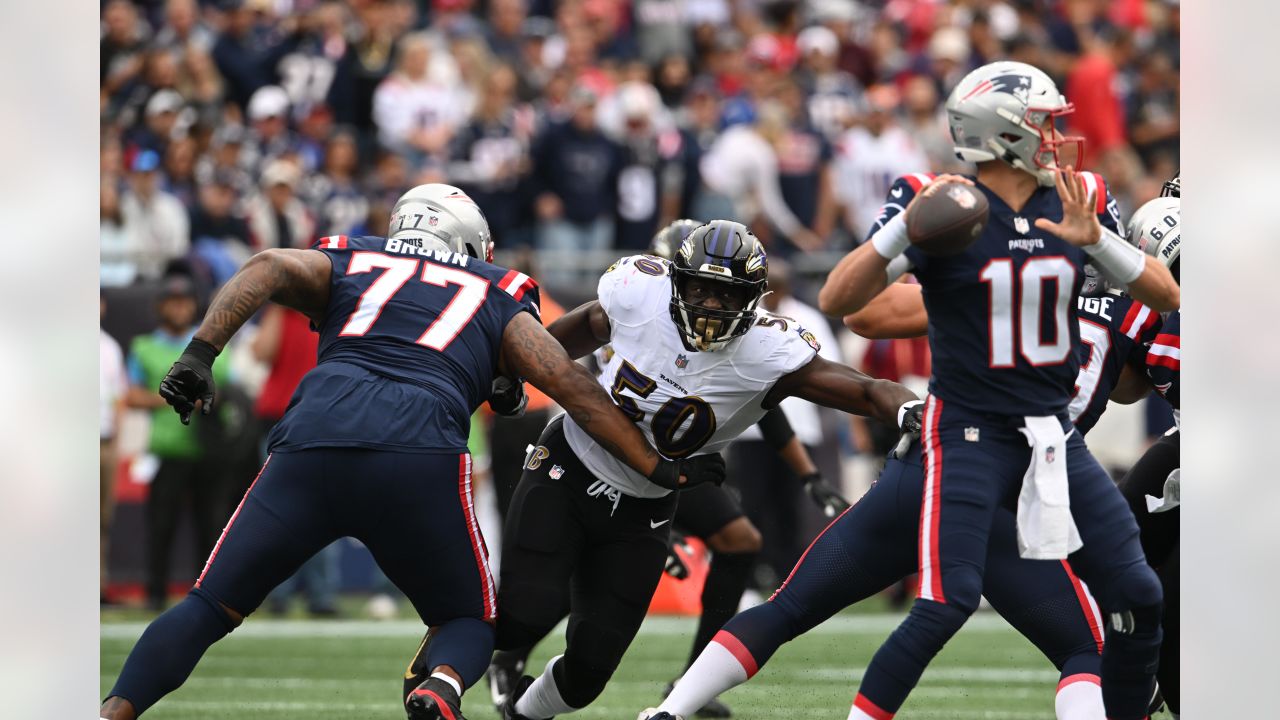 Photo: Baltimore Ravens vs New England Patriots - BOS2015011023 