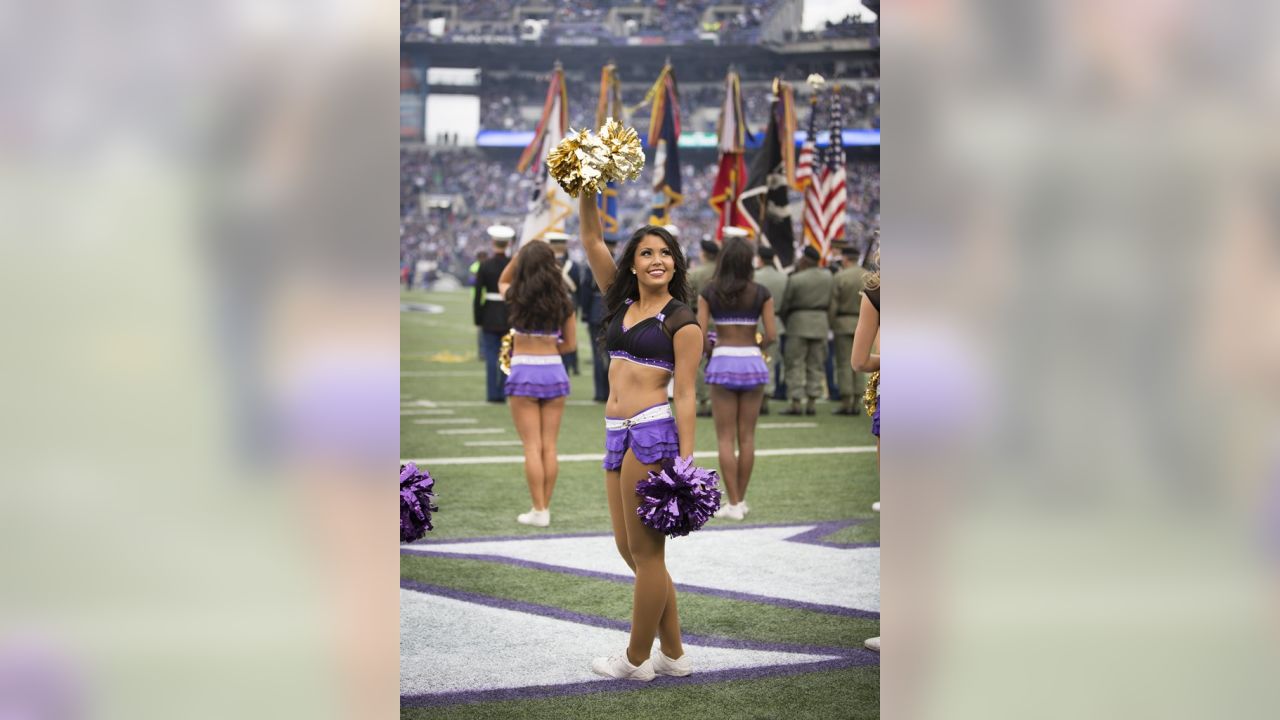 Ravens cheerleaders in 2015