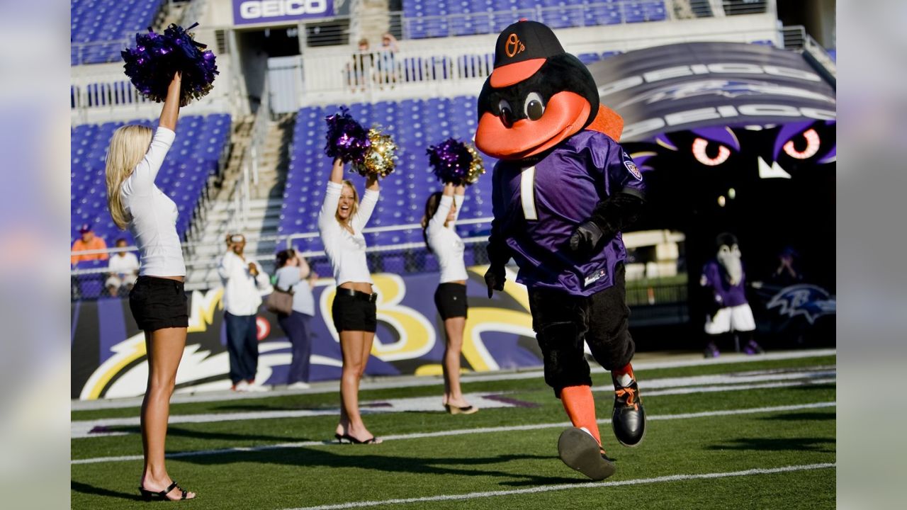 baltimore ravens and orioles