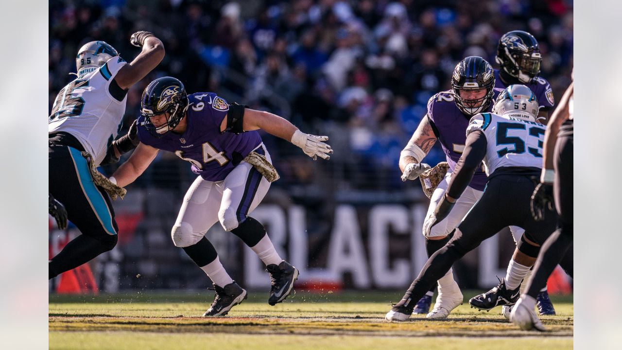 NFL: Nov 21 Baltimore Ravens Vs Carolina Panthers Editorial Stock Image -  Image of stadium, sports: 17108599