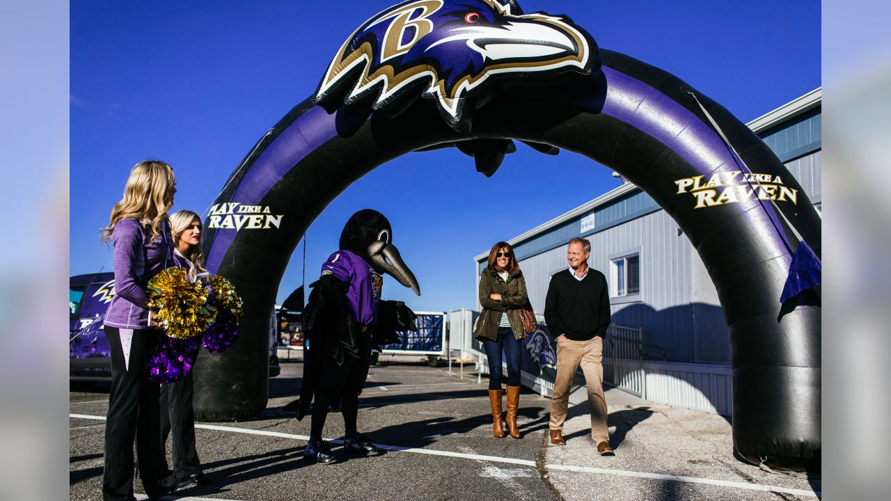 Step on the Ravens Suite Owner Trip