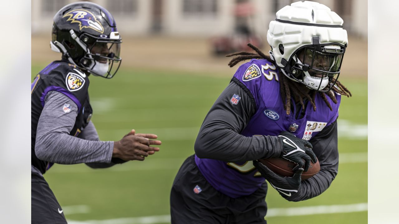 Baltimore Ravens - Our initial 53 man roster: