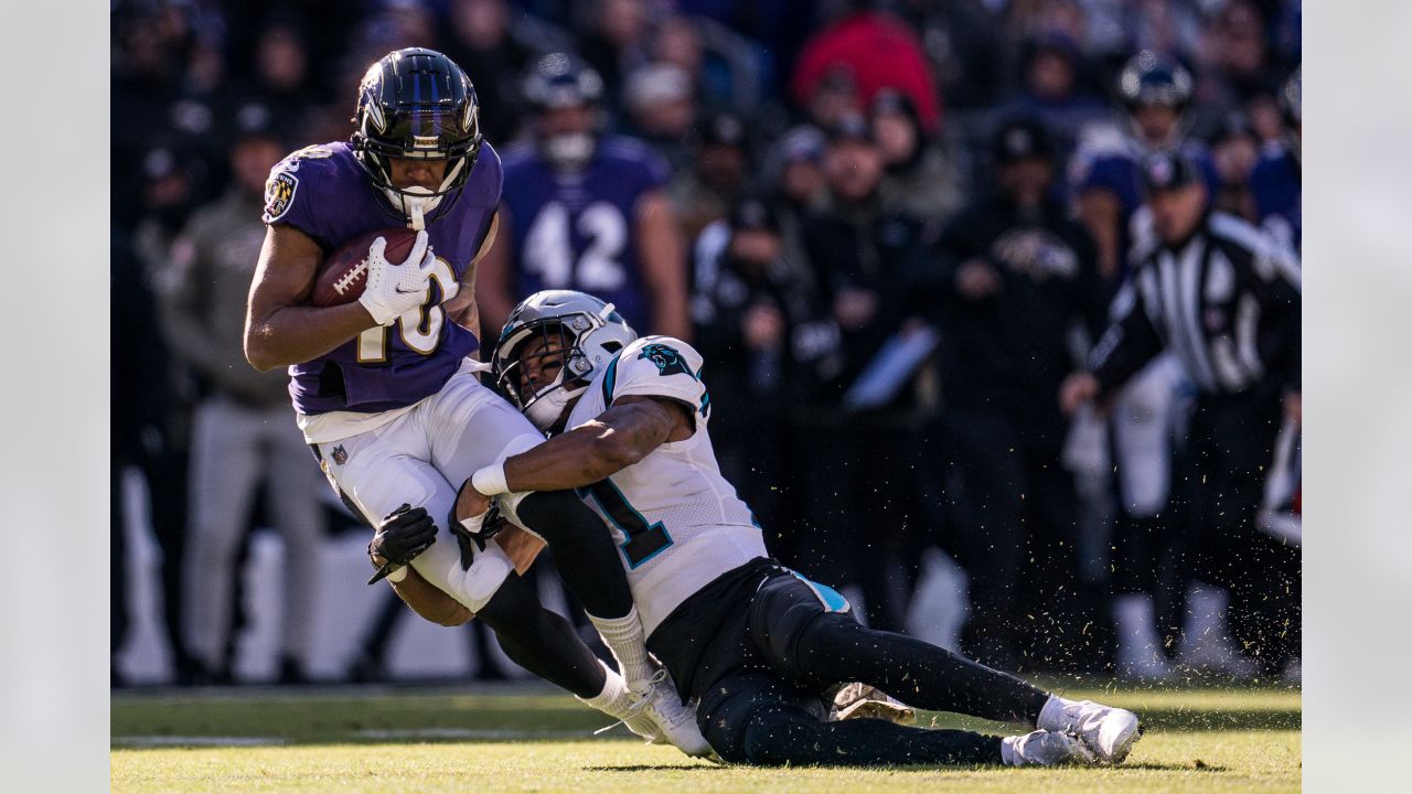 Gameday Gallery: Ravens vs. Panthers, Week 11