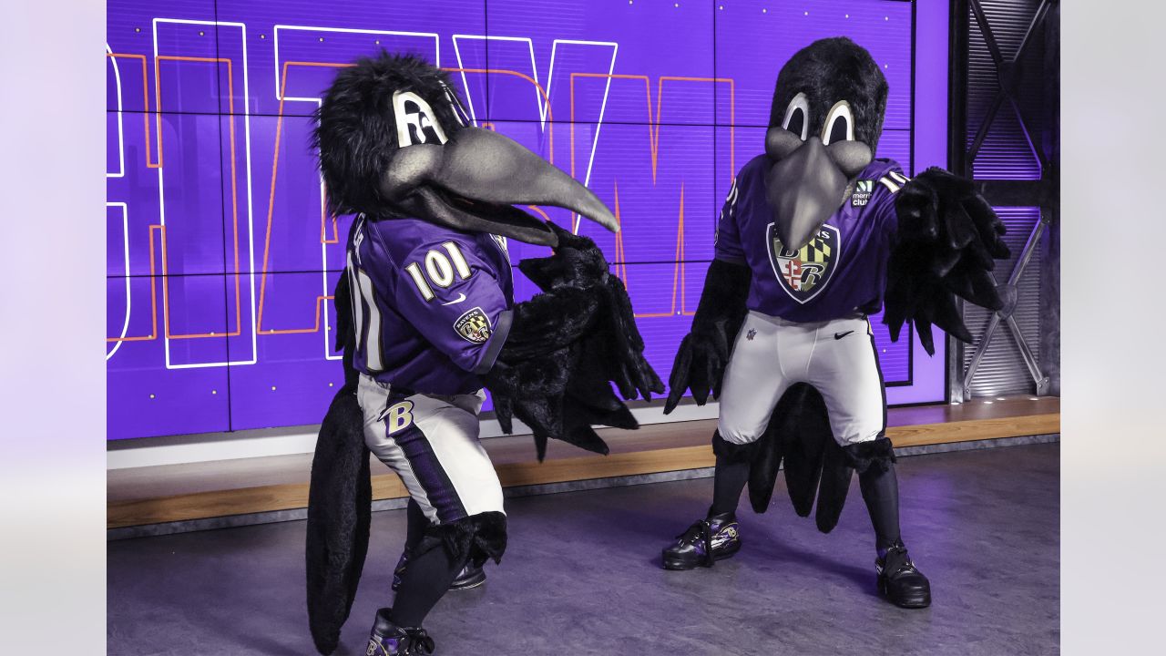 Baltimore Ravens on X: Poe hanging with all of his mascot buddies