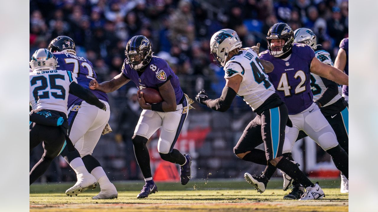 NFL: Nov 21 Baltimore Ravens Vs Carolina Panthers Editorial Stock Image -  Image of stadium, sports: 17108599