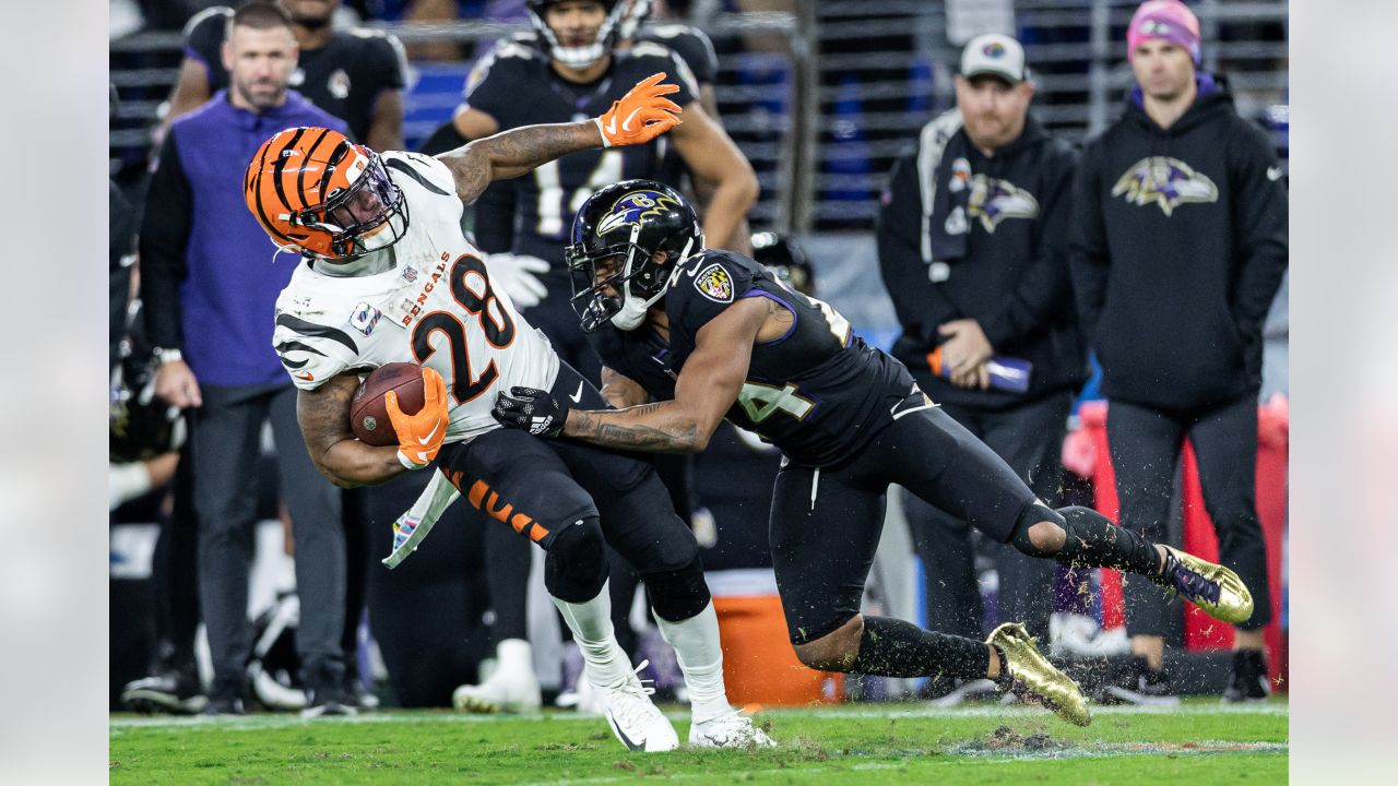 GAMEDAY 411: Ravens v. Bengals Week 5 - Russell Street Report