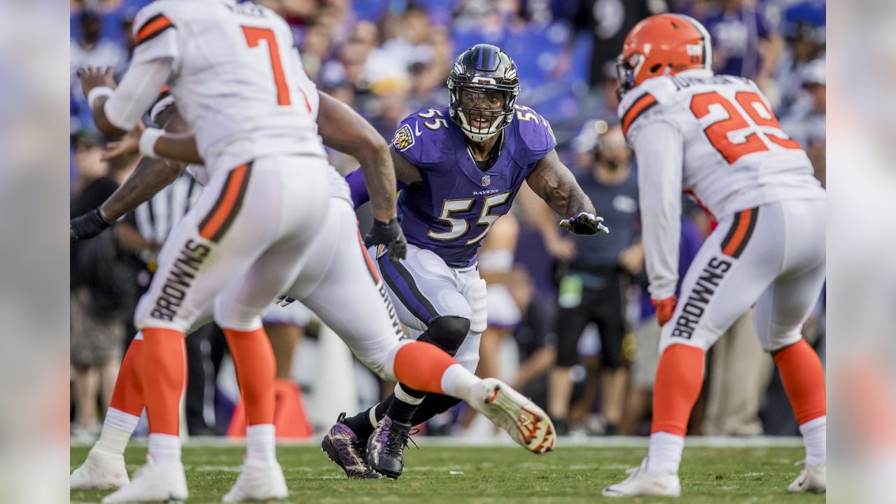 Baltimore Ravens: Suggs, Weddle, and Mosley Voted Into Pro Bowl