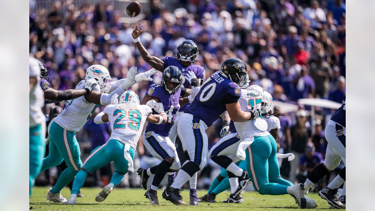 PHOTOS: Dolphins Cheer  Ravens vs. Dolphins - Week 10