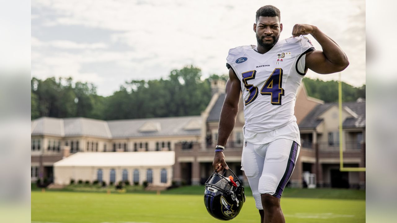 Five Storylines as Ravens Begin Padded Practices