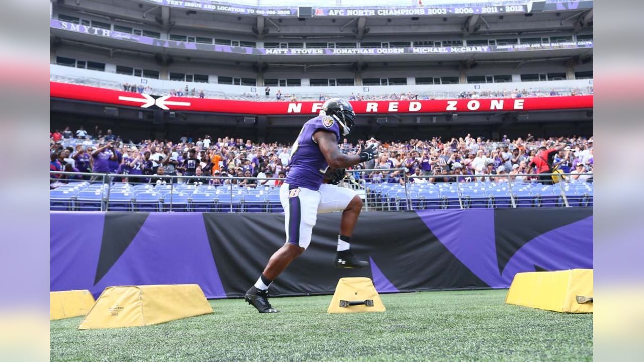 Fans Flock to M&T Bank Stadium for an Unforgettable Gameday