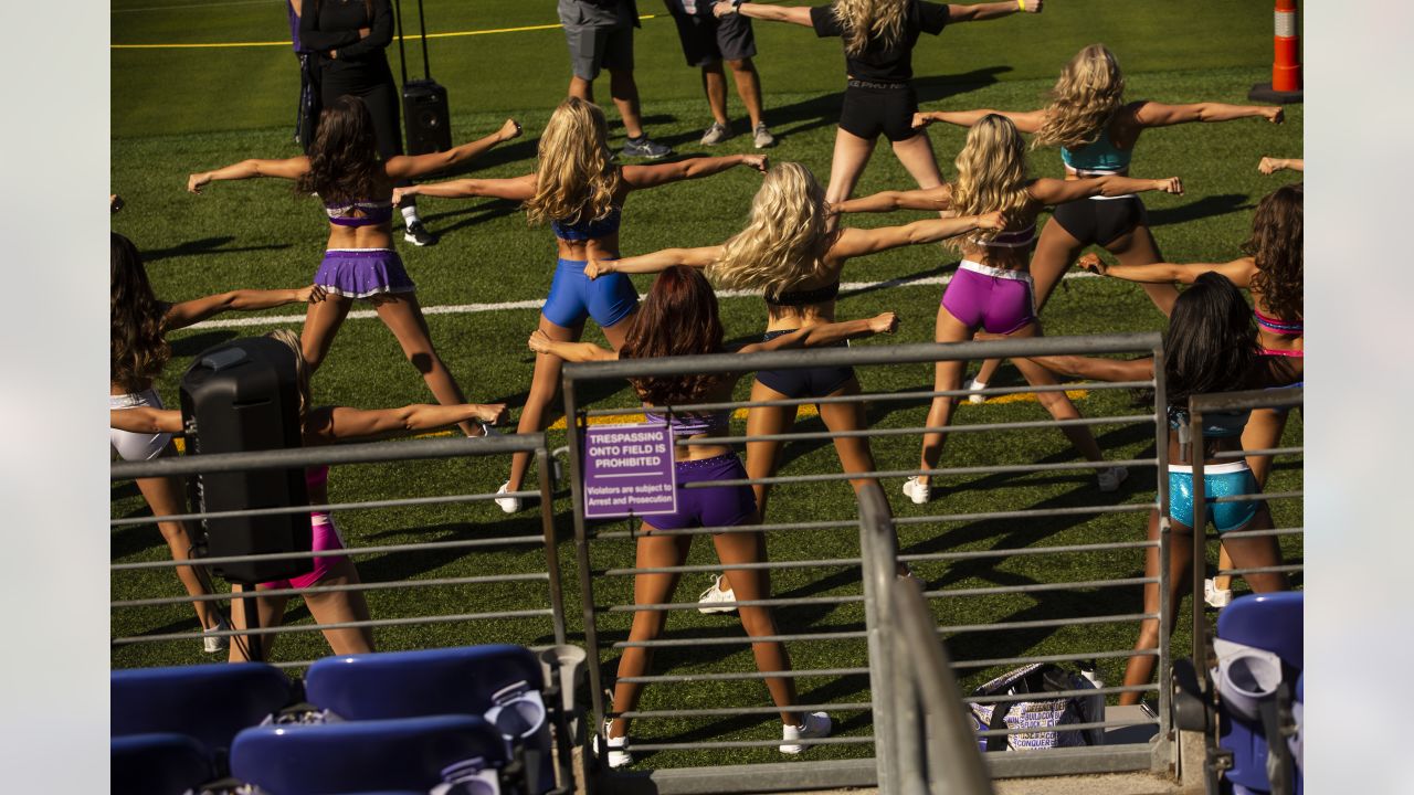 Inside Ravens' Tryouts for a Poe Mascot Fill-In