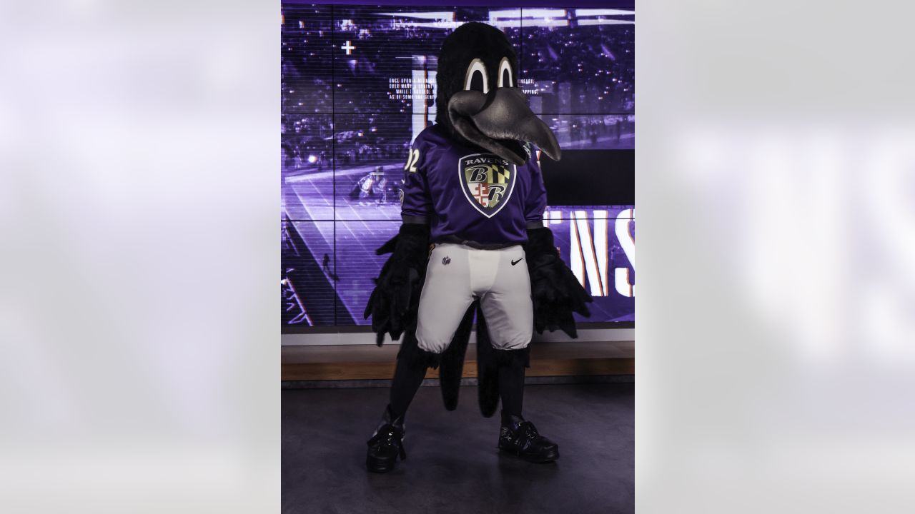 Ravens announce replacement mascots for Poe