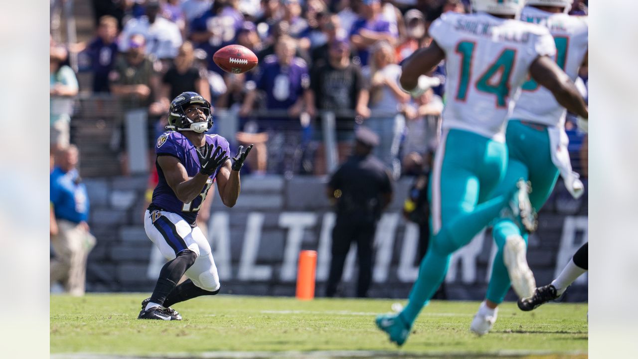 Gameday Gallery: Ravens vs. Dolphins, Week 2