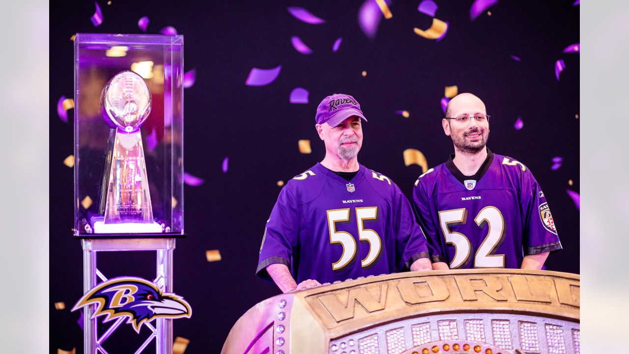 Purple Majesty - Baltimore Ravens Super Bowl Champions