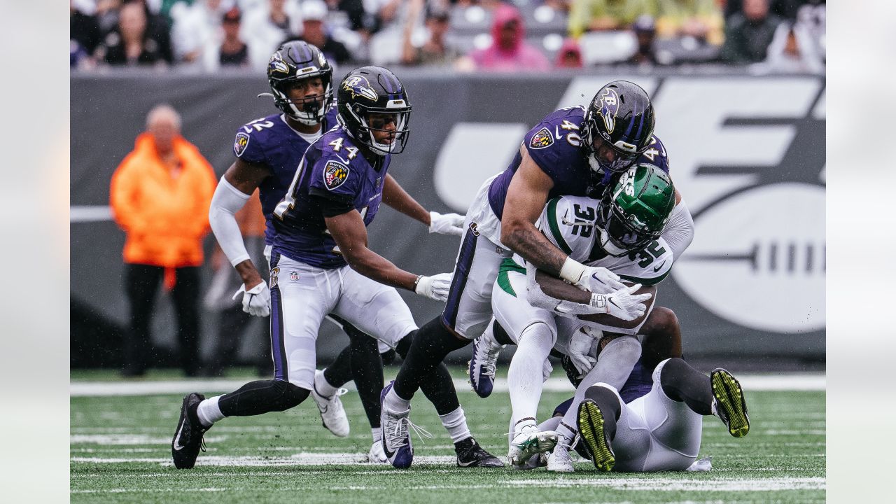 Ravens vs. Texans Game Preview  Everything You Need to Know, Week 1