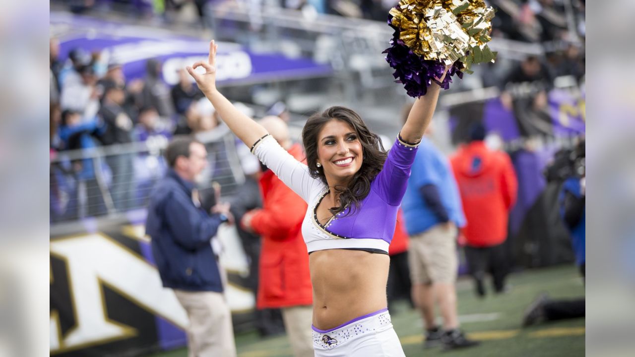 Ravens cheerleaders in 2015