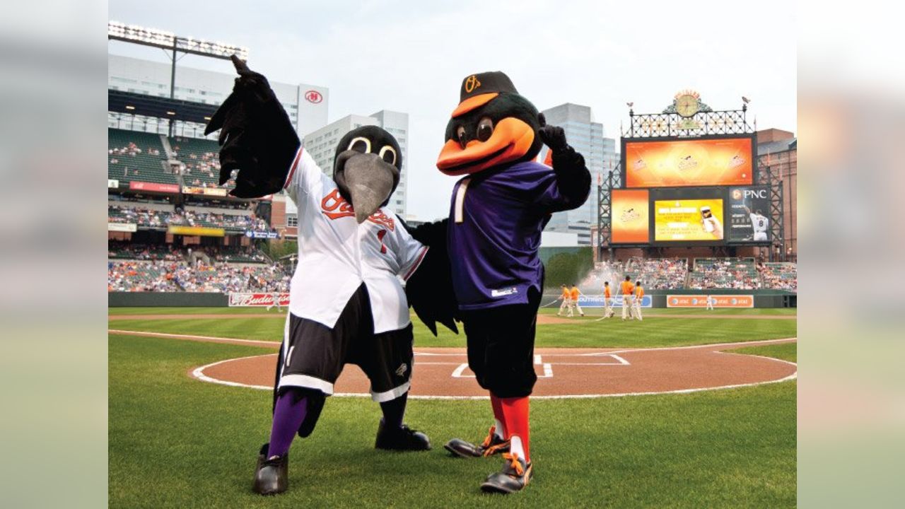 baltimore ravens and orioles