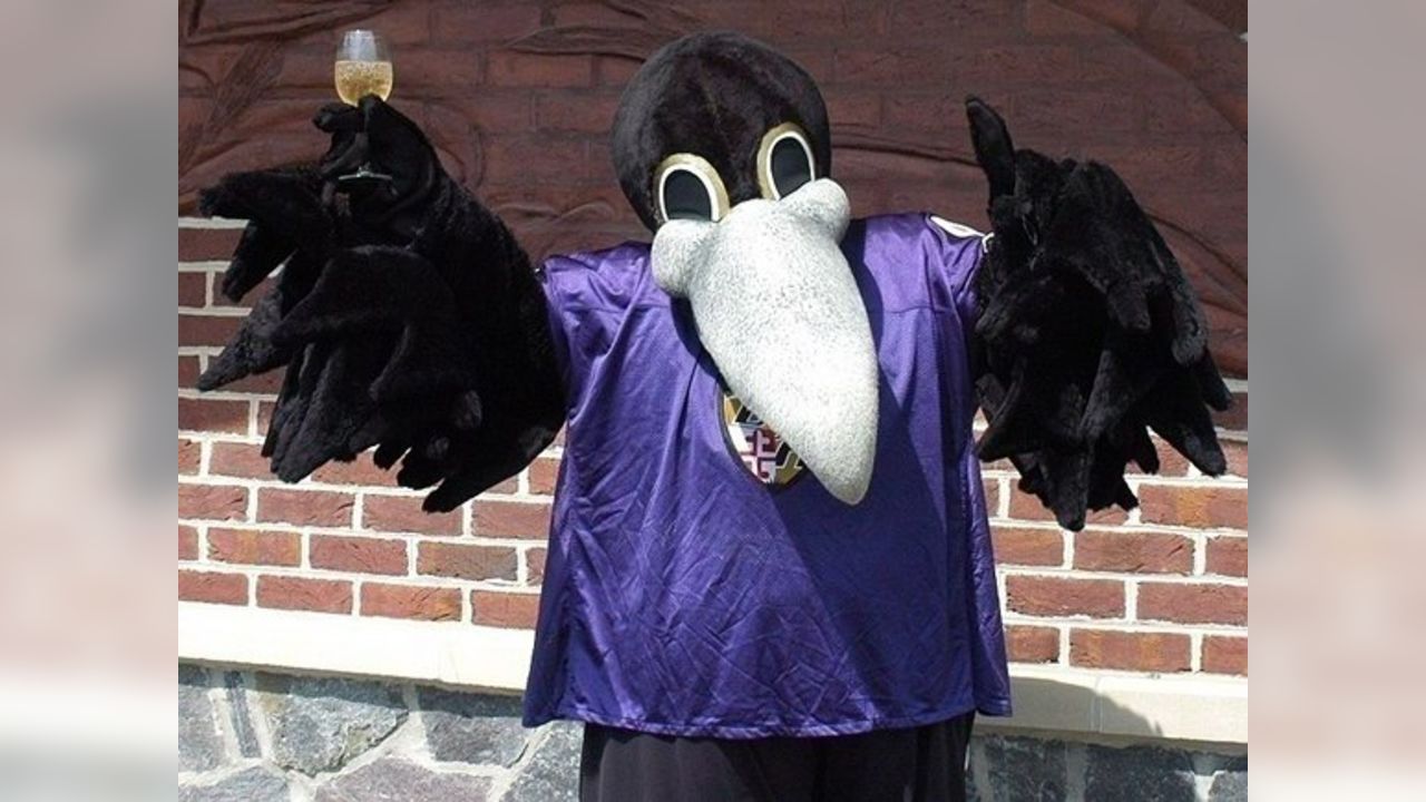 Poe Baltimore (Ravens Purple) (Jersey 3 Ft Mascot) - Football - Player  Bobbles - Foco Action Figure