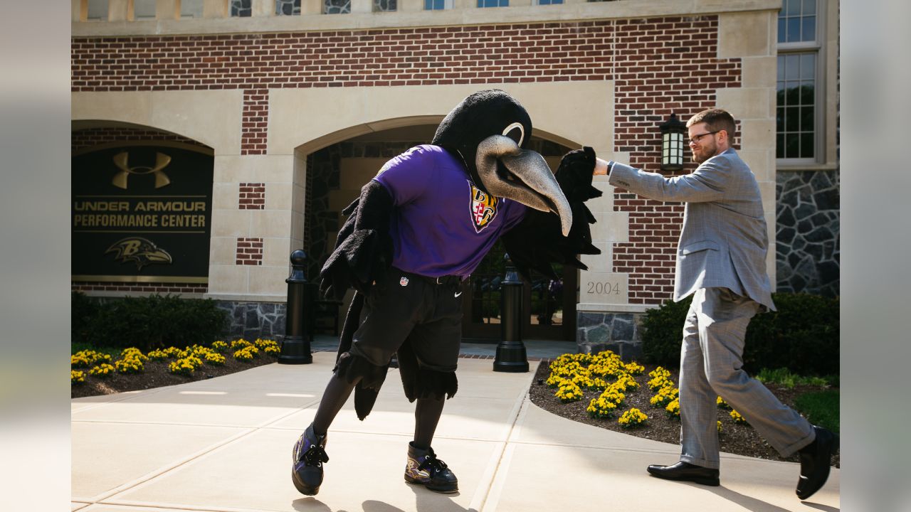 John Harbaugh confirms Ravens mascot Poe is out for season with