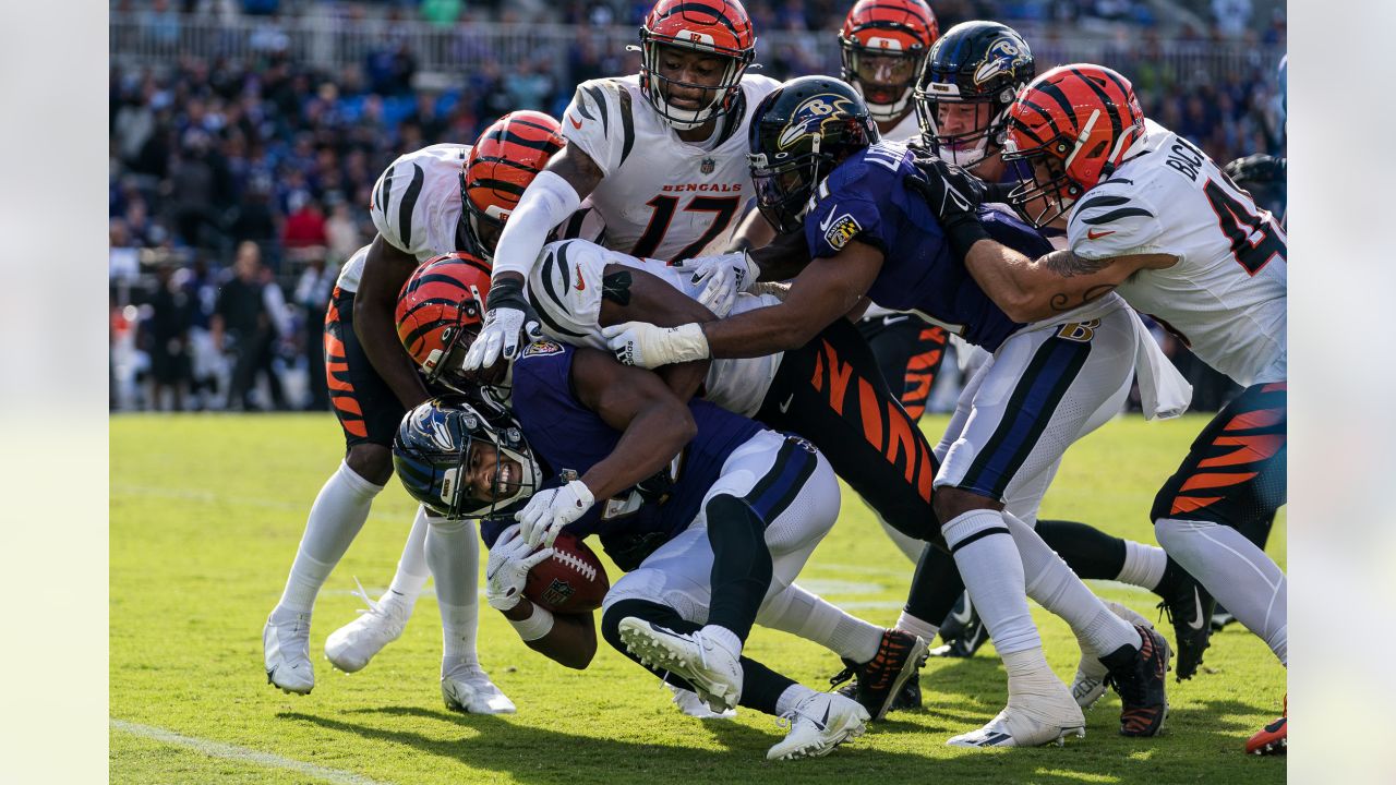 Inside The Stadium: Ravens vs. Bengals, Week 7