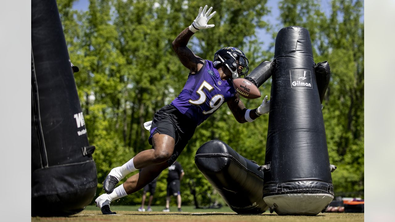 Baltimore Ravens linebacker Daelin Hayes (59) in action during the