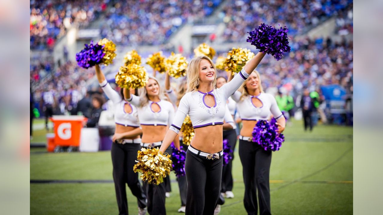 Ravens Cheerleaders: Ravens vs. Lions