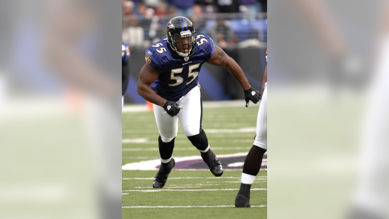 Baltimore Ravens Olb Terrell Suggs 55 Editorial Stock Photo