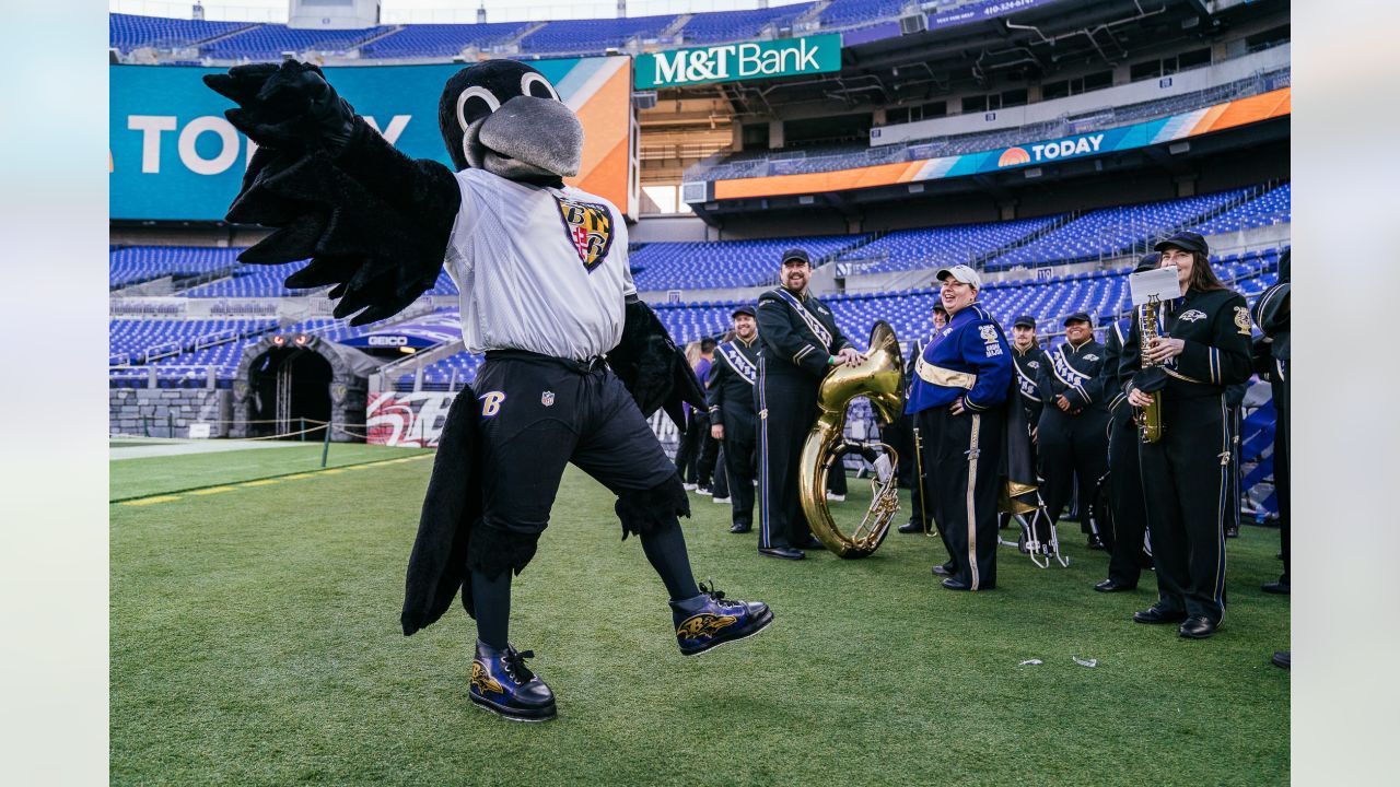 John Harbaugh confirms Ravens mascot Poe is out for season with