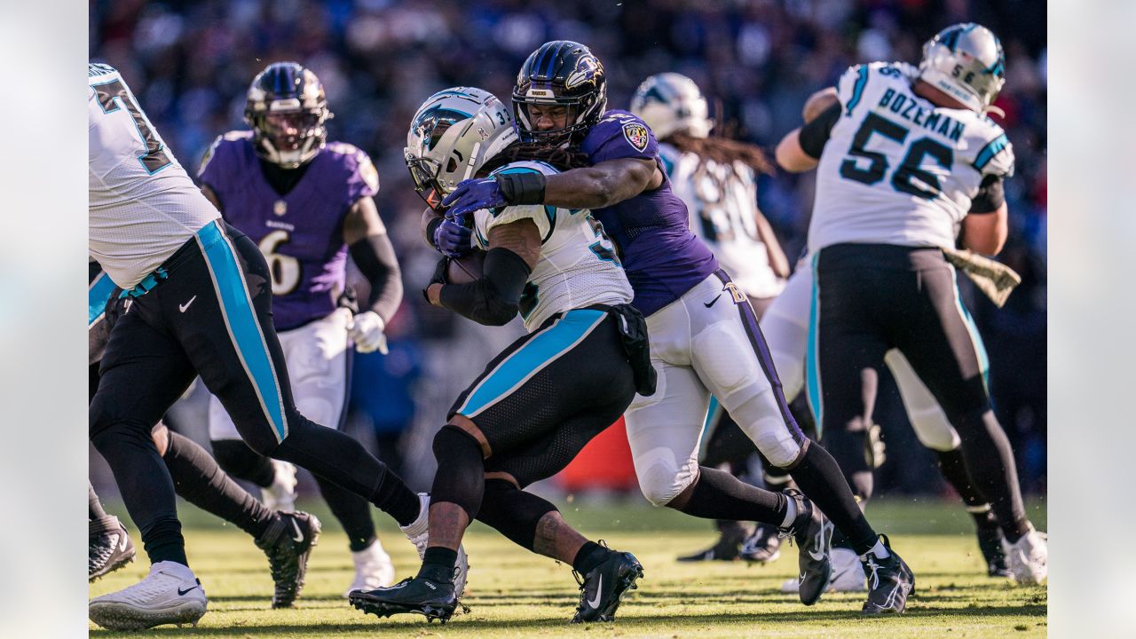 NFL: Nov 21 Baltimore Ravens Vs Carolina Panthers Editorial Stock Image -  Image of stadium, sports: 17108599