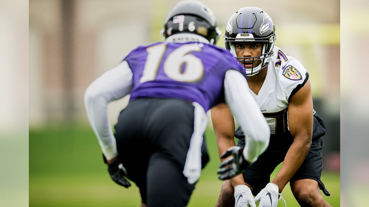 Meet the Ravens' Full 53-Man Roster