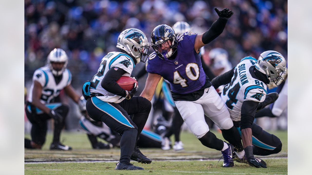 Gameday Gallery: Ravens vs. Panthers, Week 11