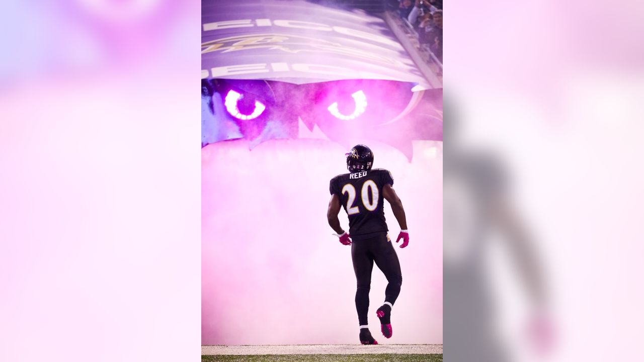 Baltimore Ravens on Twitter: @untouchablejay4, you think you're Ed Reed  now?  / Twitter