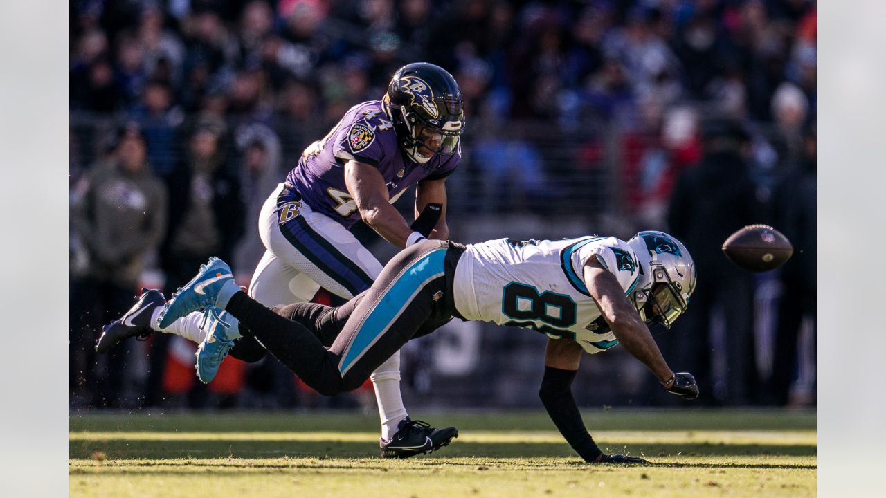 NFL: Nov 21 Baltimore Ravens Vs Carolina Panthers Editorial Image - Image  of sports, national: 17108715