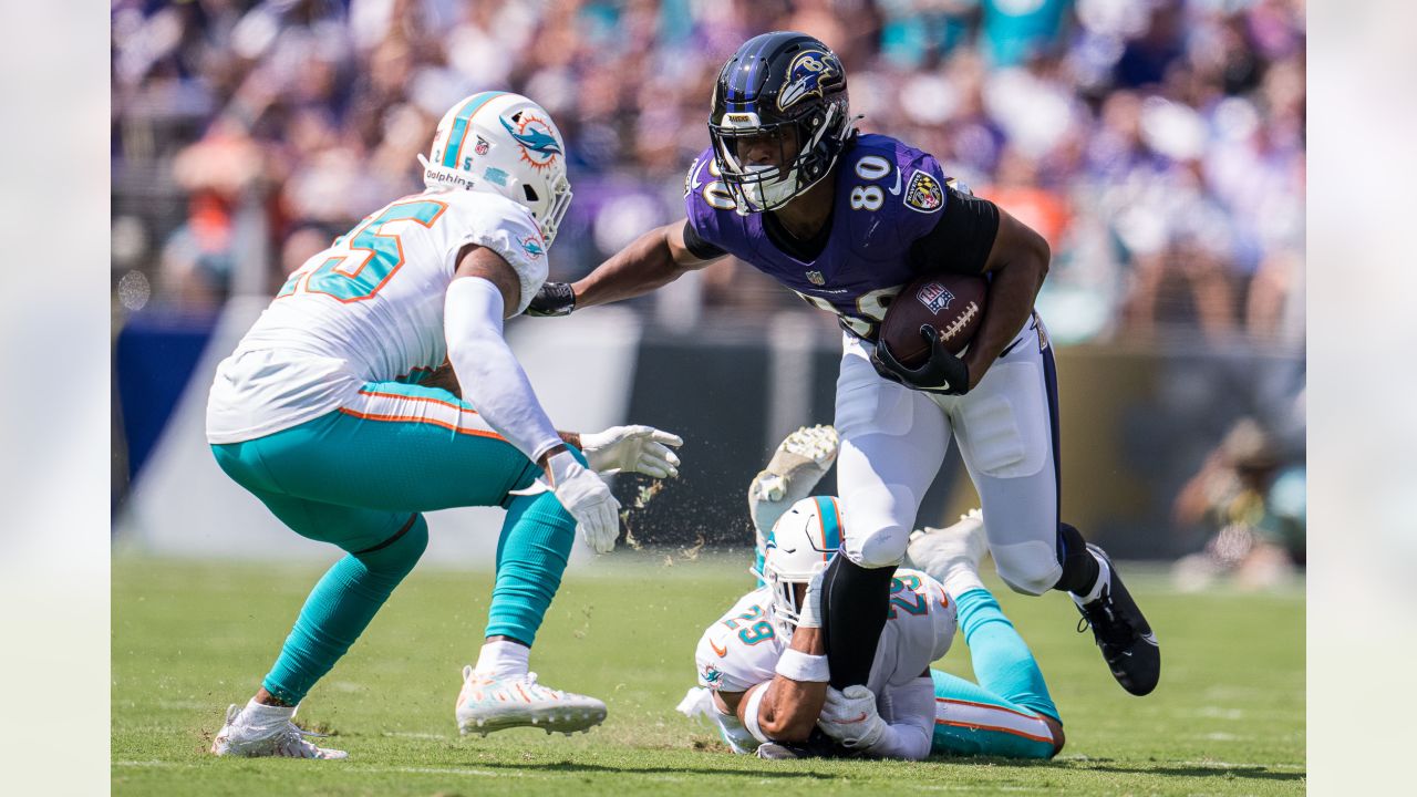 Miami, Florida, USA. 25th Aug, 2018. 14 White moving the ball during the Miami  Dolphins v Baltimore Ravens game on Saturday August 25, 2018 Credit: Dalton  Hamm/ZUMA Wire/Alamy Live News Stock Photo - Alamy