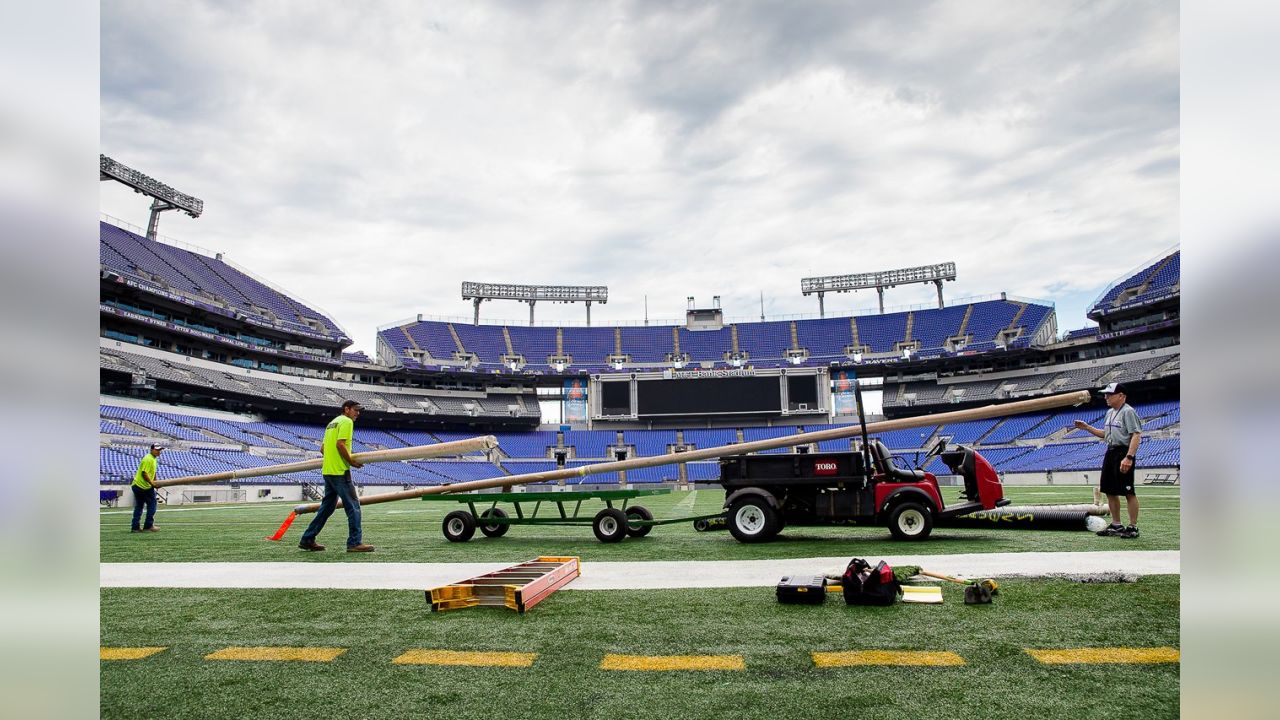 Visiting M&T Bank Stadium - NFLGirlUK