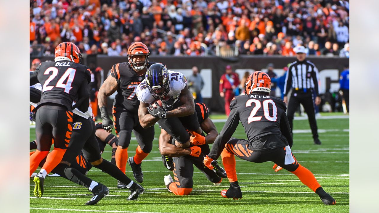 Gameday Gallery: Ravens vs. Bengals, Week 16