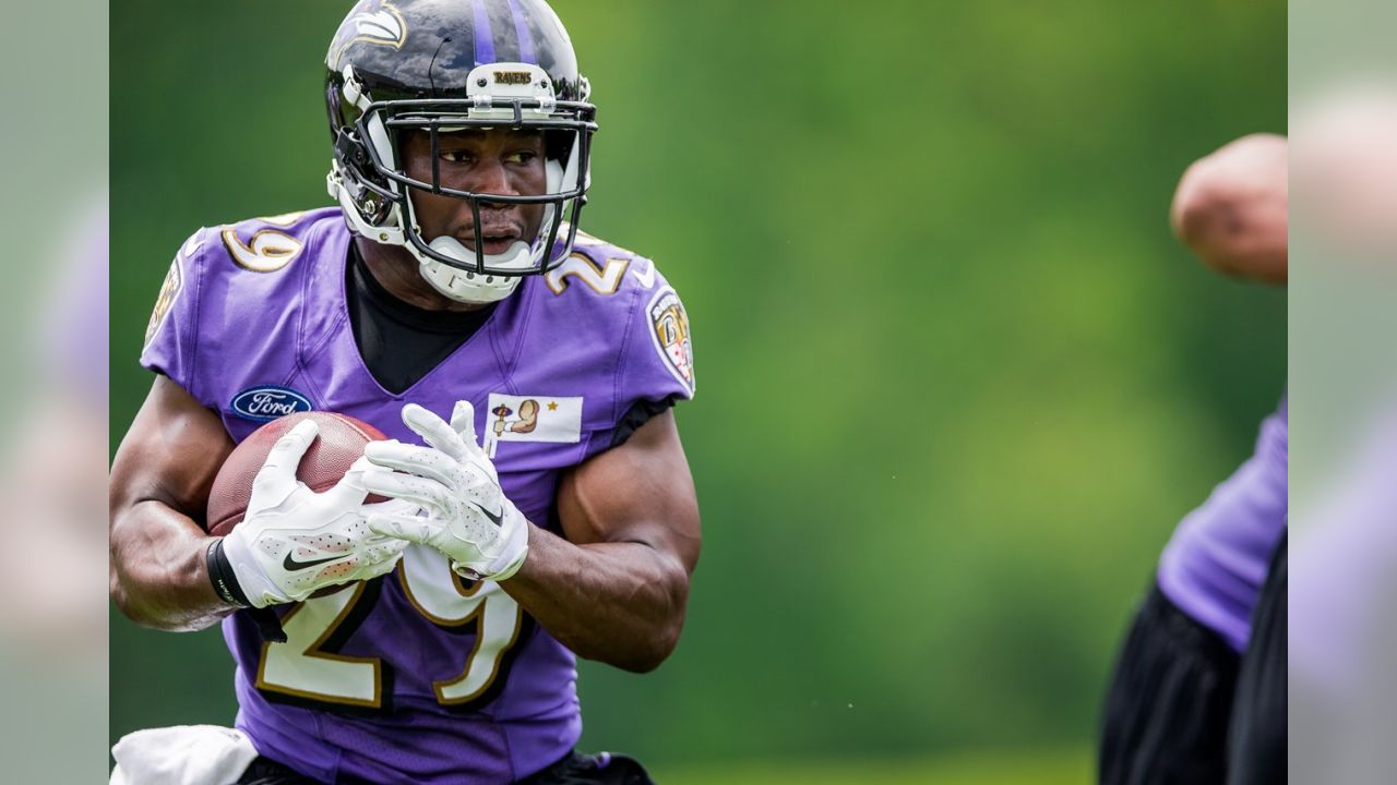 Ravens Release Justin Forsett With New Vision For Backfield