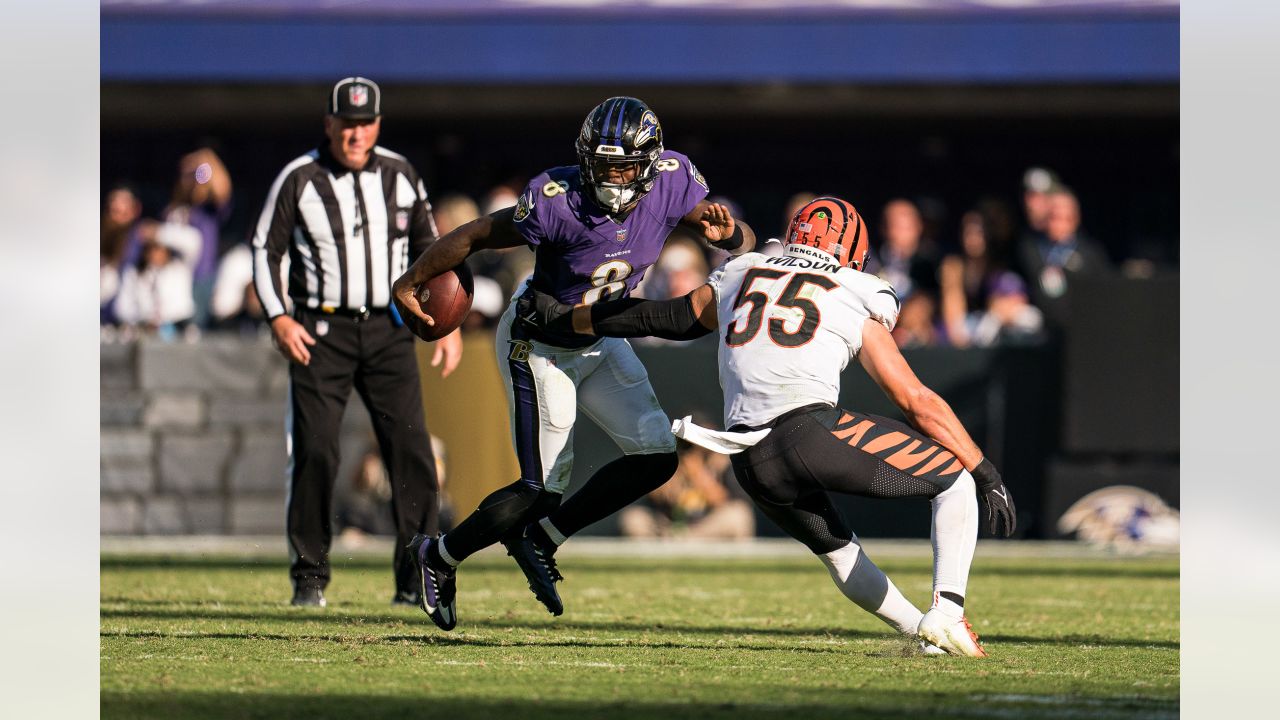 Inside The Stadium: Ravens vs. Bengals, Week 7