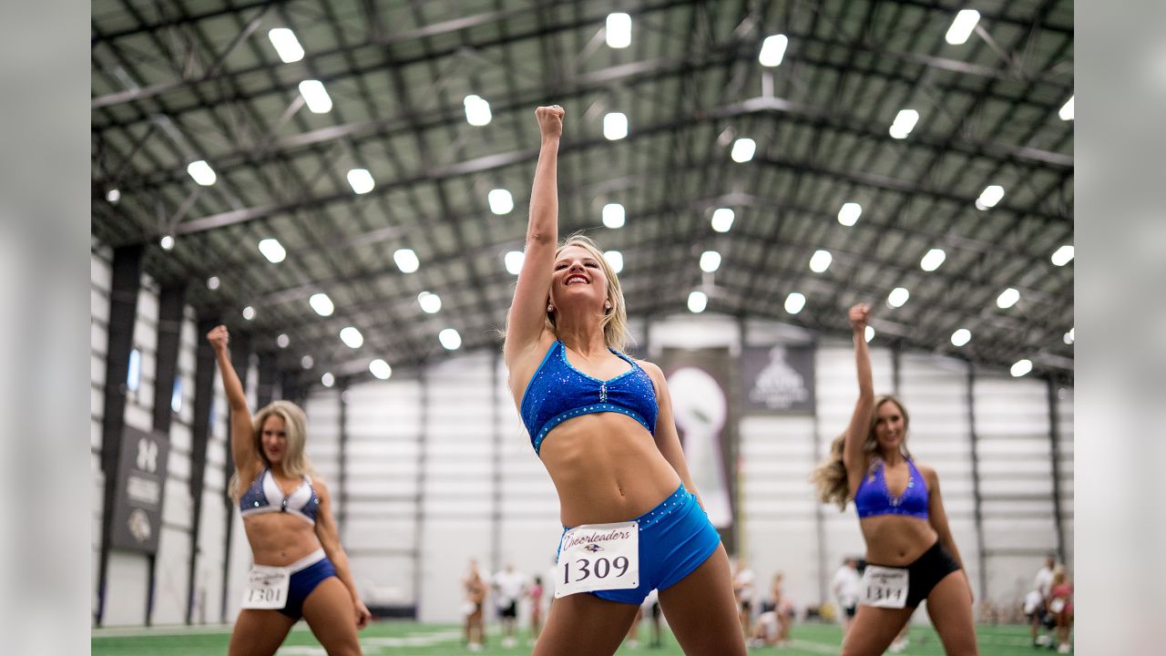 1,309 Seattle Seahawks Cheerleaders Photos & High Res Pictures