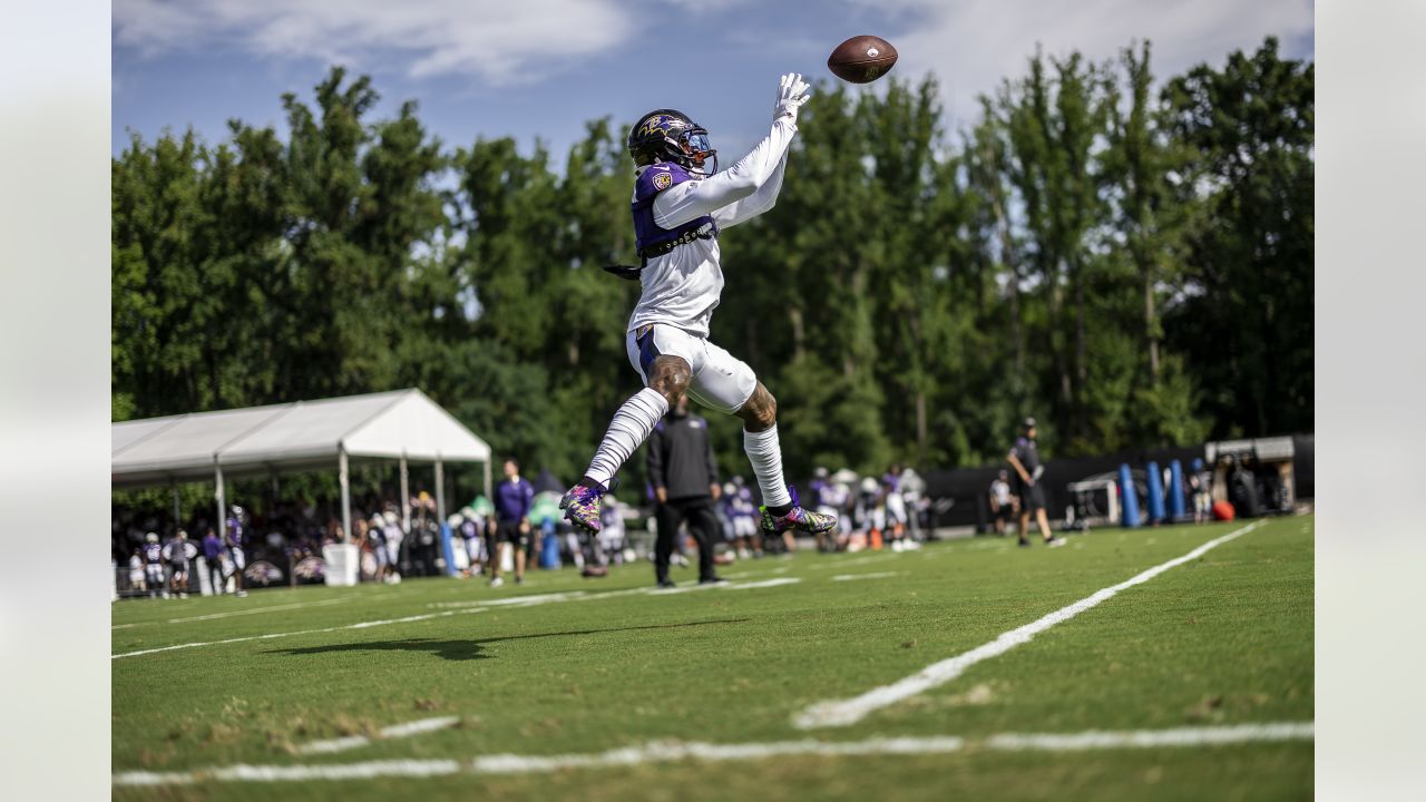 Mark Andrews among Ravens, Commanders players involved in skirmishes at  joint training camp practice