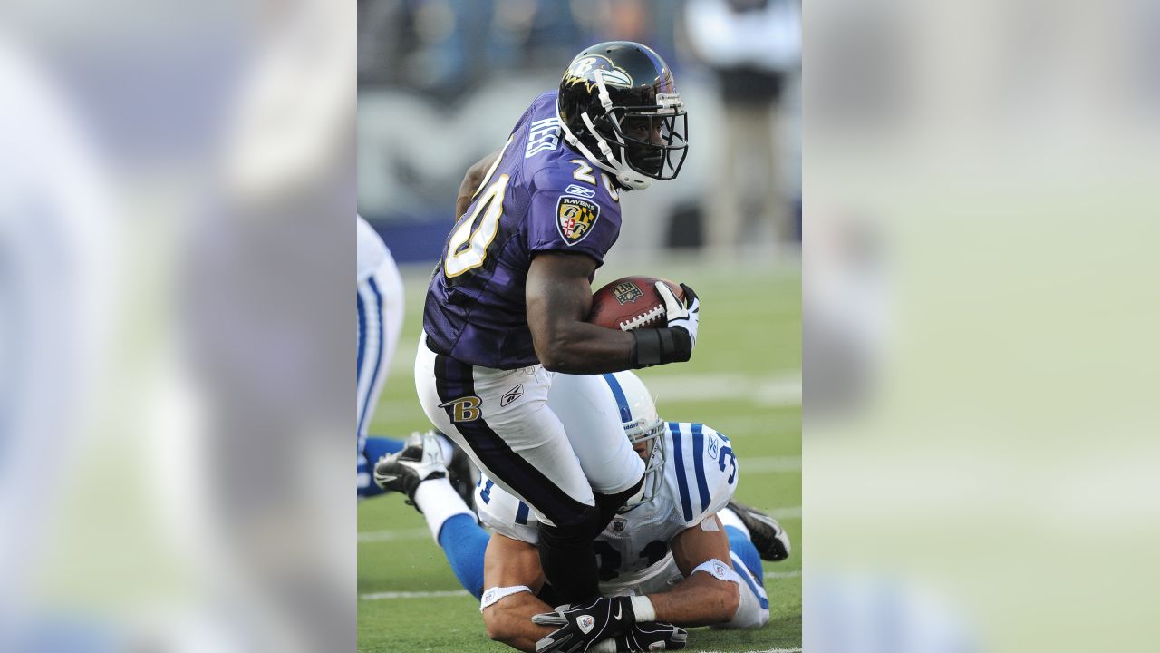 : ED REED BALTIMORE RAVENS 8X10 HIGH GLOSSY SPORTS ACTION PHOTO  (O) : Sports Fan Photographs : Sports & Outdoors