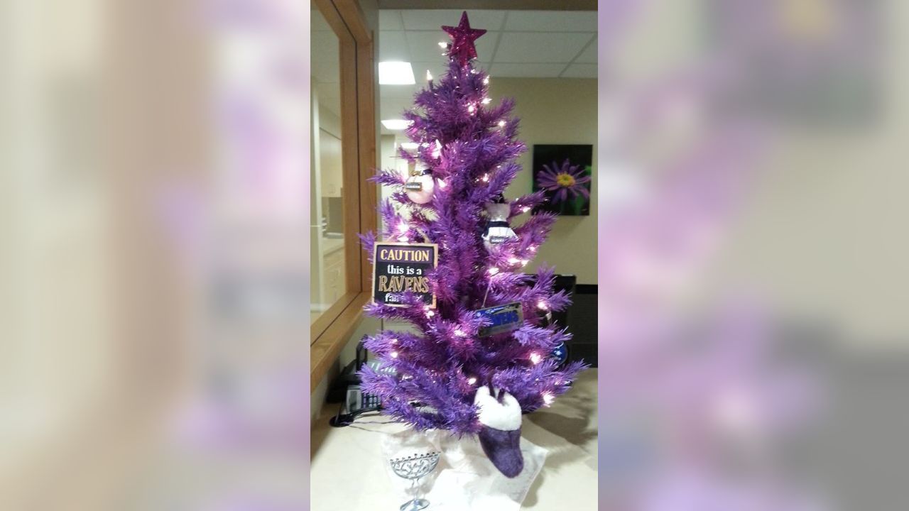 Ravens Fans Celebrate A Purple Christmas