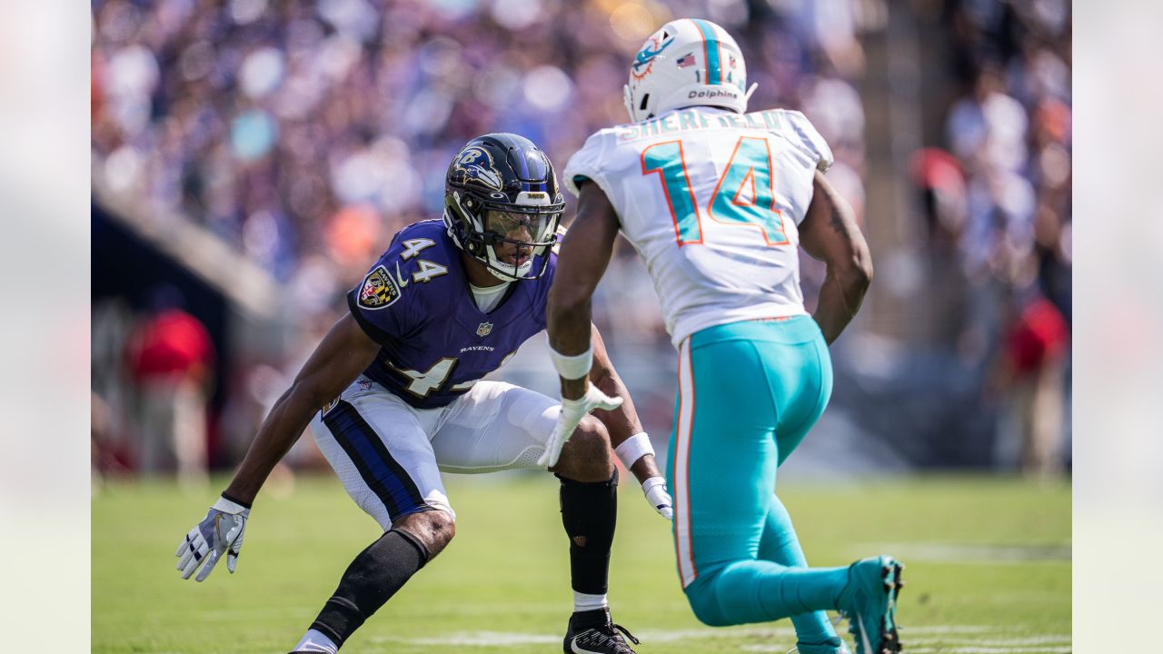 Gameday Gallery: Ravens vs. Dolphins