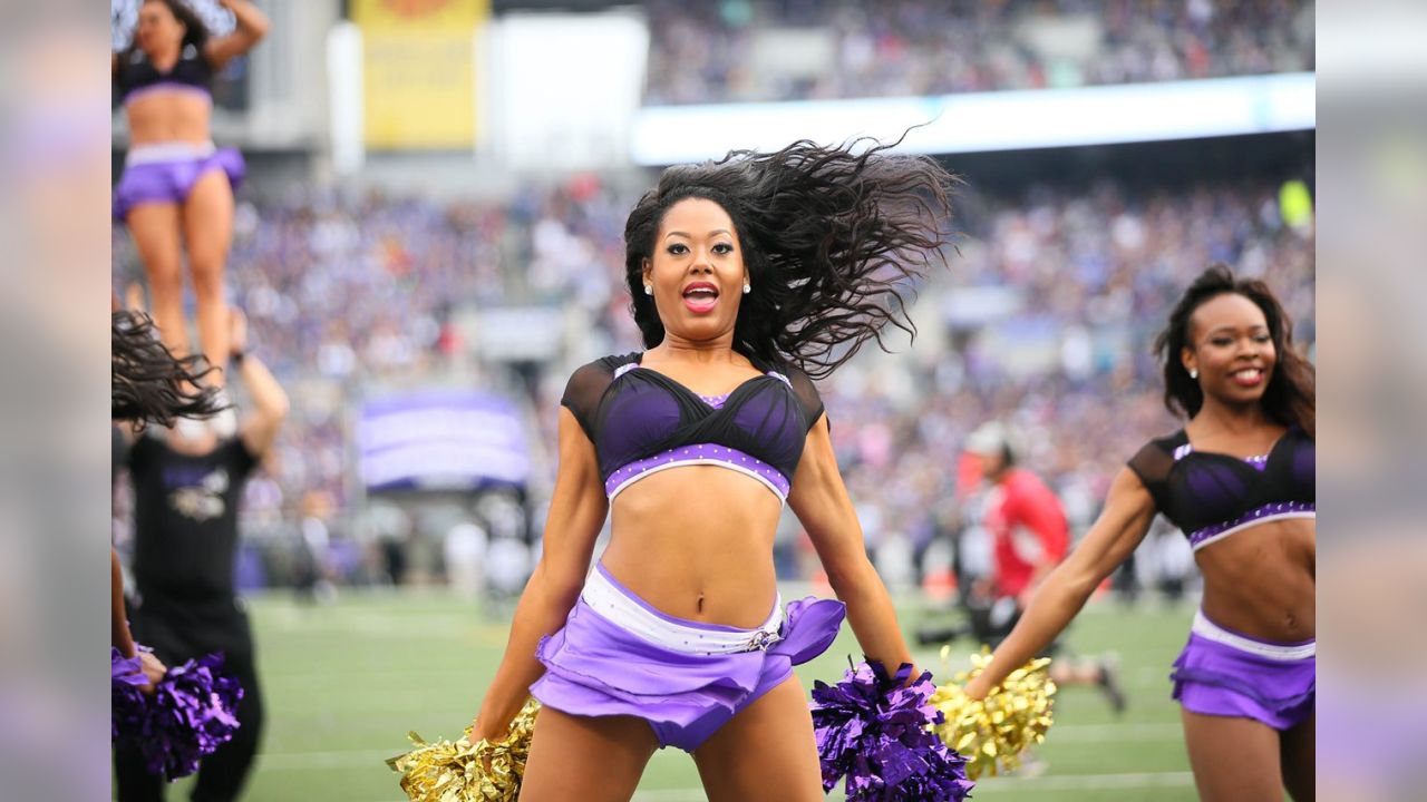 Cheerleaders: Ravens vs. Steelers, Week 17