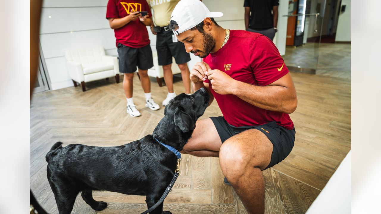 Commanders team dog Mando graduates from service dog training, Get  Uplifted