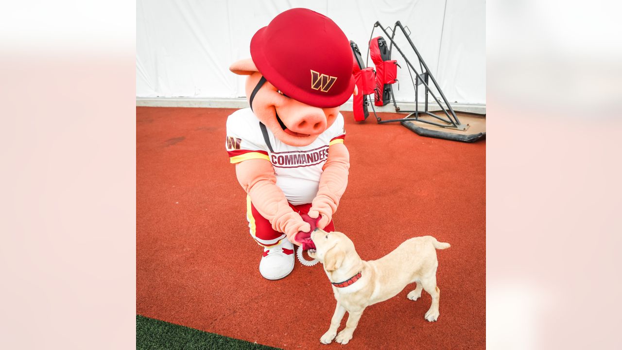 Ultimate dog goals. #HTTR - Washington Commanders